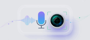 Voice and Visual Search