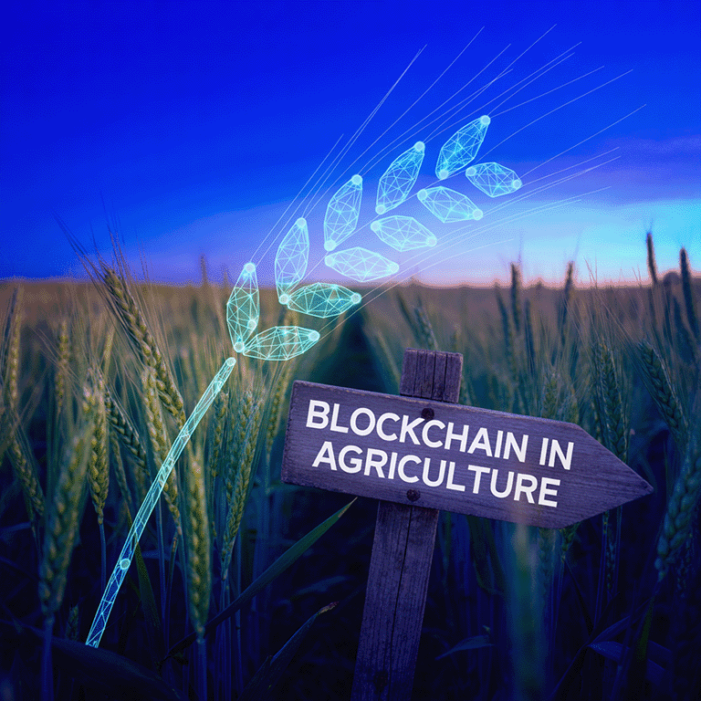 How Blockchain in Agriculture Boosts Efficiency and Traceability for Farmers