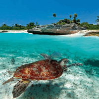 Michael Kader, Project manager, Department of Environment (Cayman Islands)