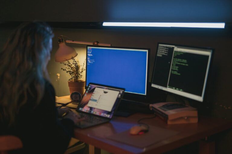 PoC Development and IT Outsourcing Services