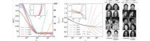 Why Diffusion Models Don’t Memorize Training Dynamics and Evidence
