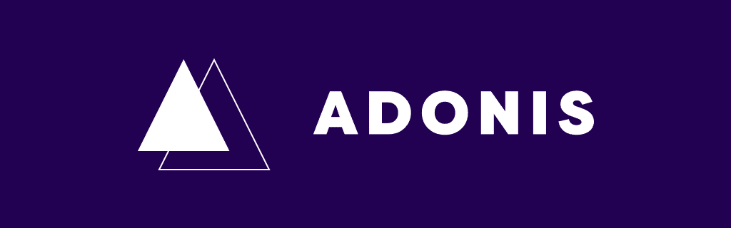 Node.js web framework AdonisJs - custom software development by LITSLINK