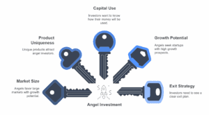 Angel Investment Strategy