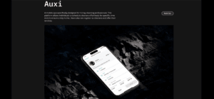 Auxi