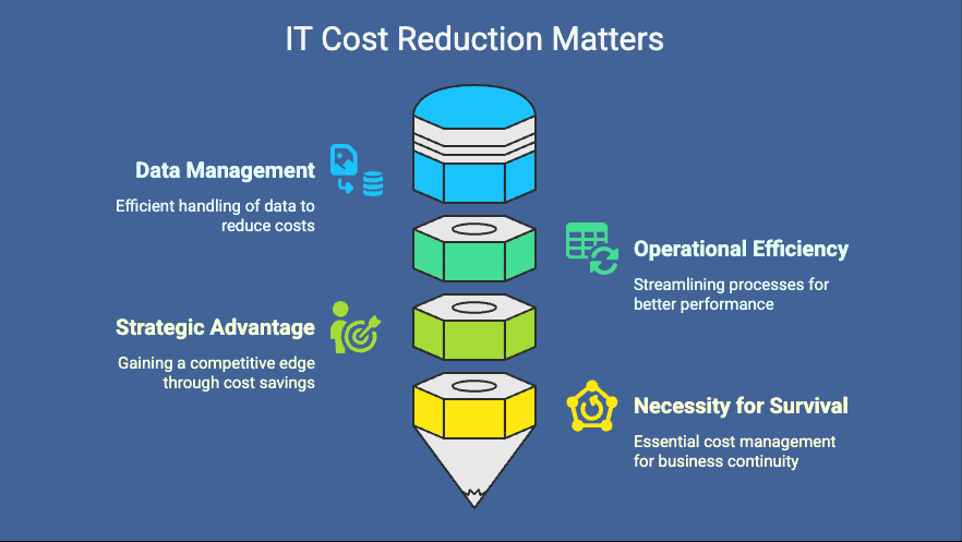 IT Cost Reduction Strategies